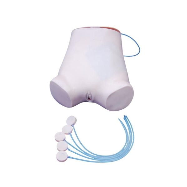 Ambdominal Ponksiyon Modeli