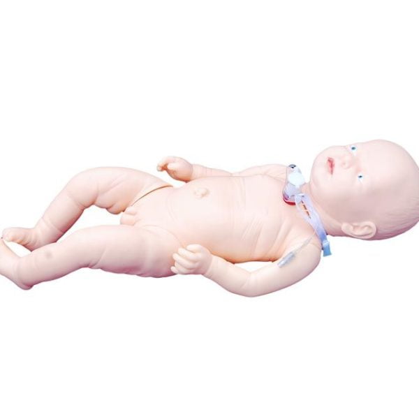 Bebek Trakeostomi Bakım Maketi