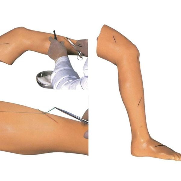 Cerrahi Sütur Uygulaması Eğitim Bacağı Modeli