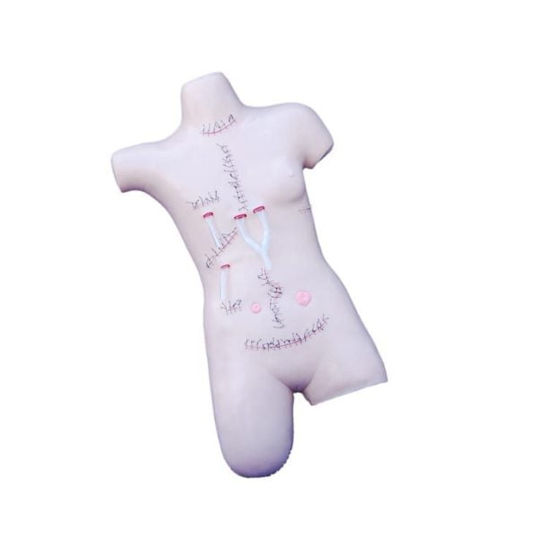 Cerrahi Sütur ve Bandajlama Maketi