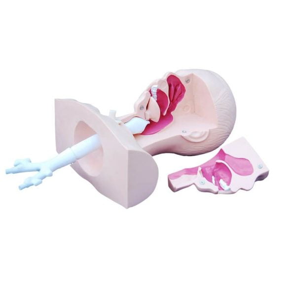 Emilim (Suction) Eğitim Modeli