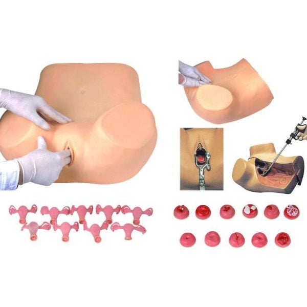 Jinekolojik Muayene Eğitim Modeli