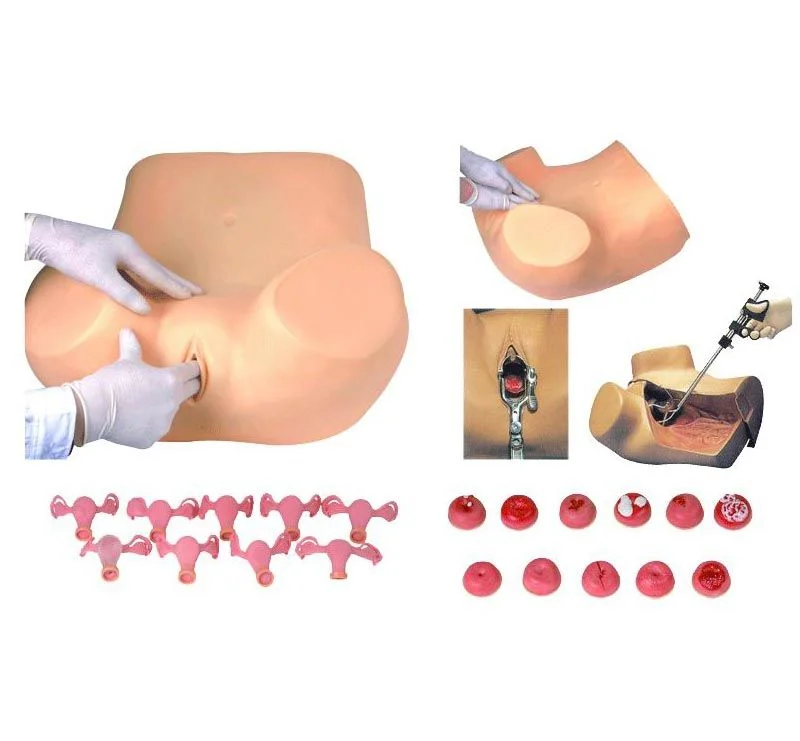 Jinekolojik Muayene Eğitim Modeli Jinekolojik Muayene Eğitim Modeli