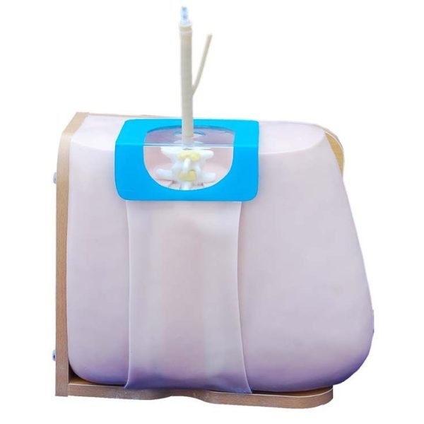 Lumbar Ponksiyon Maketi