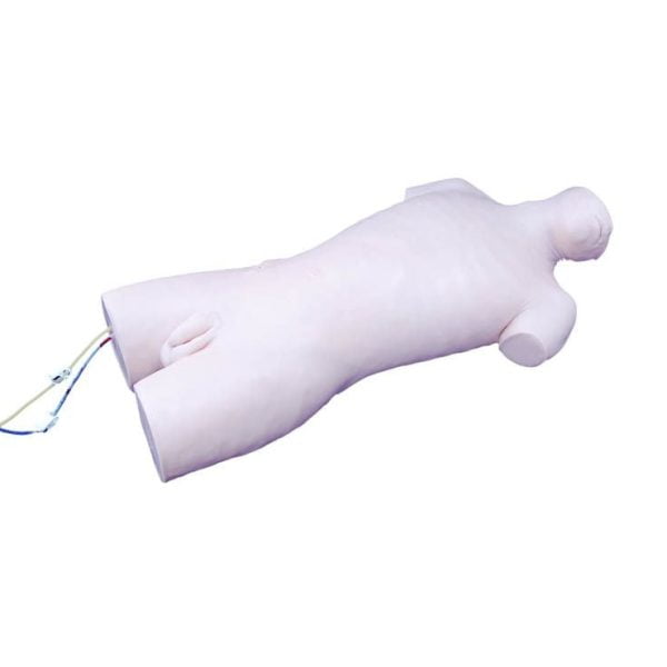 Santral Venöz Kateterizasyon Simülatör Maketi