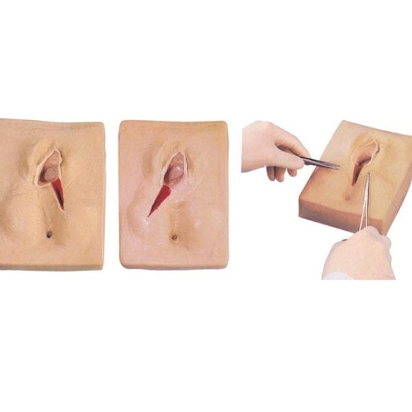 Vulva Sütur Eğitimi Modeli