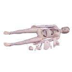 Temel Kadın Hemşirelik Eğitim Mankeni