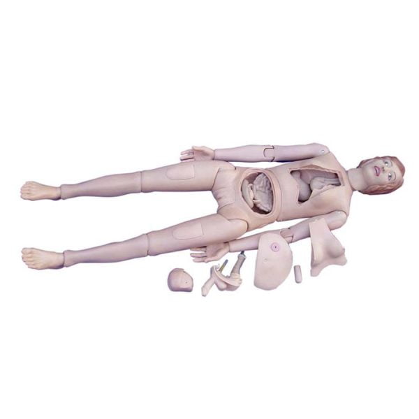 Temel Kadın Hemşirelik Eğitim Mankeni