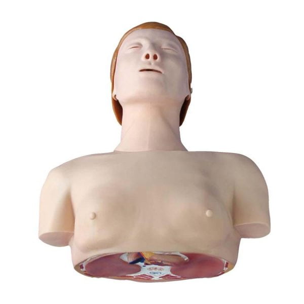 Yarım Vücut Temel CPR Eğitim Mankeni