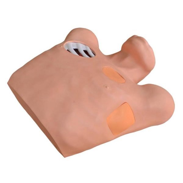 Pnömotoraks / Plevral Drenaj (Yapay Hidrotoraks) Simülatörü