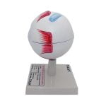 İnsan Gözü Modeli - Görsel 3