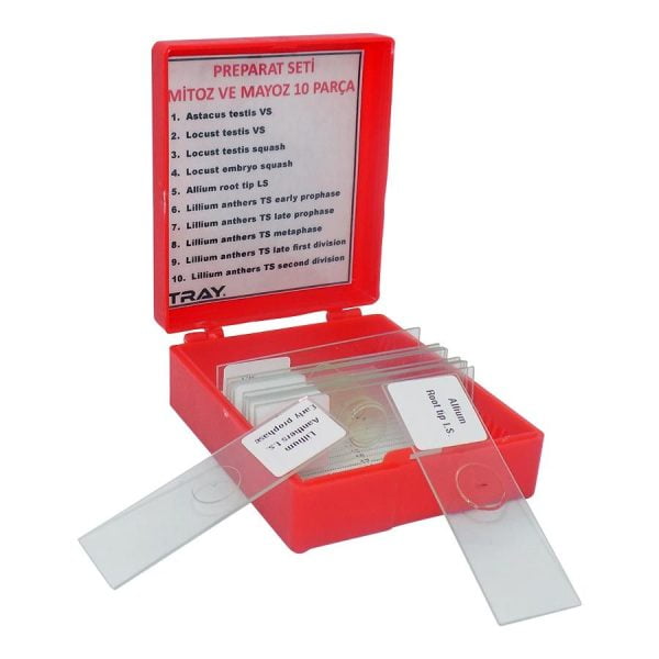 Preparat Seti Mitoz ve Mayoz 10 Parça