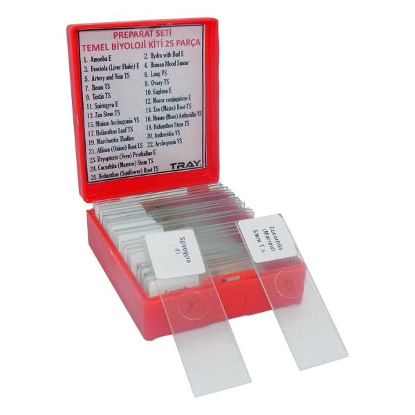 Preparat Seti Temel Biyoloji Kiti 25 Parça